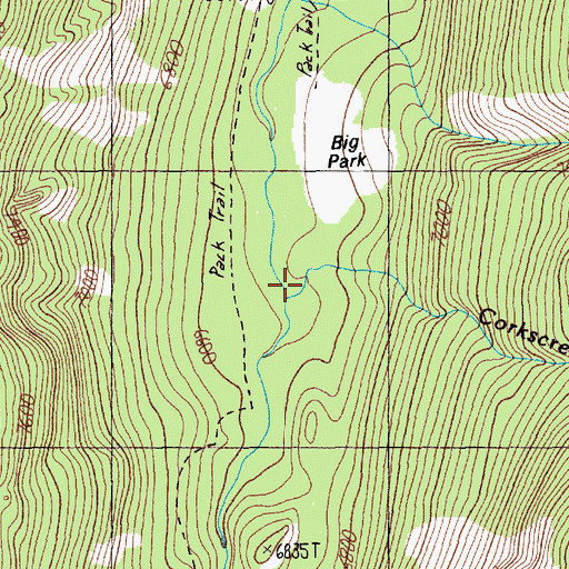 Topographic Map of Corkscrew Creek, MT