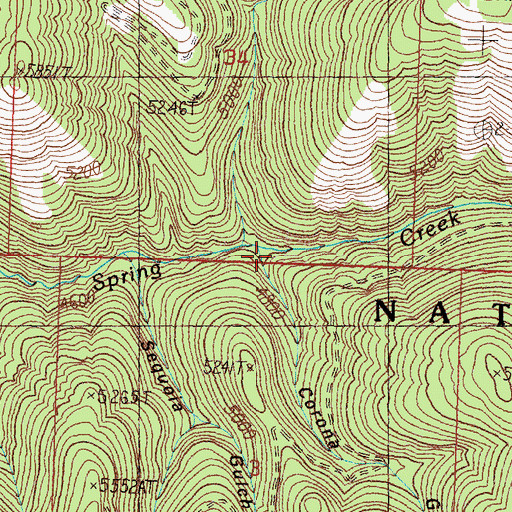 Topographic Map of Corona Gulch, MT