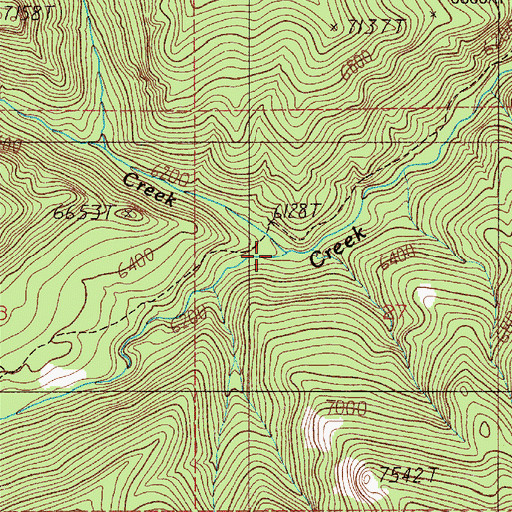 Topographic Map of Cottonwood Creek, MT