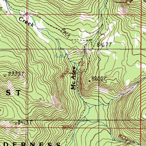 Topographic Map of Cougar Creek, MT