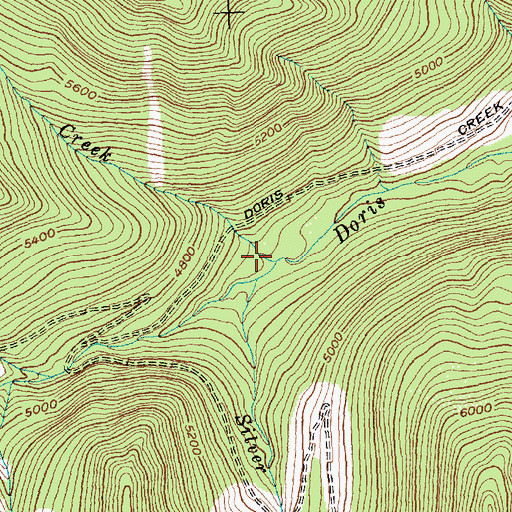 Topographic Map of Cove Creek, MT