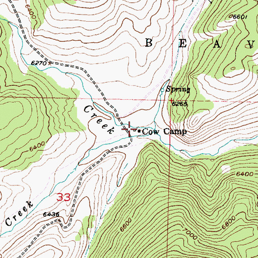 Topographic Map of Cow Camp, MT