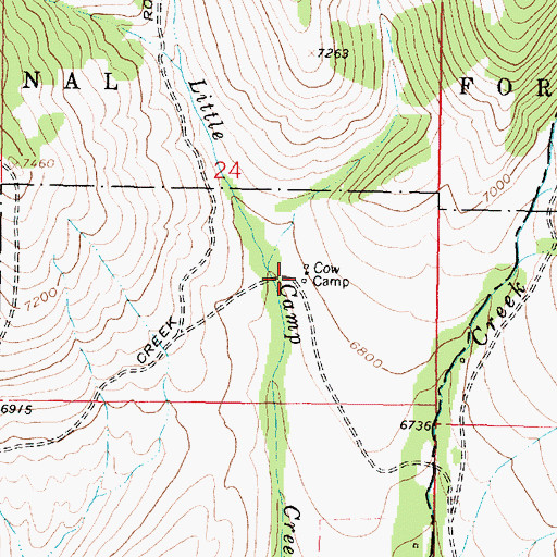 Topographic Map of Cow Camp, MT