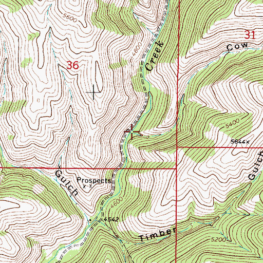 Topographic Map of Cow Gulch, MT