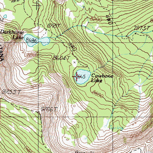 Topographic Map of Cowbone Lake, MT