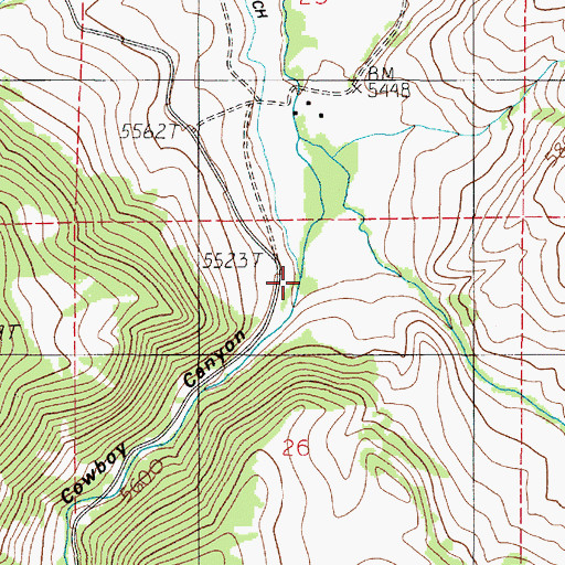 Topographic Map of Cowboy Canyon, MT