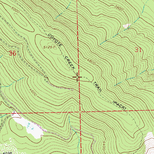 Topographic Map of Coyote Creek Trail, MT