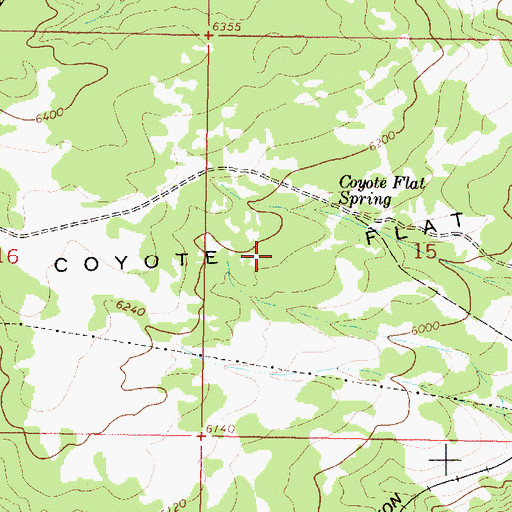 Topographic Map of Coyote Flat, MT