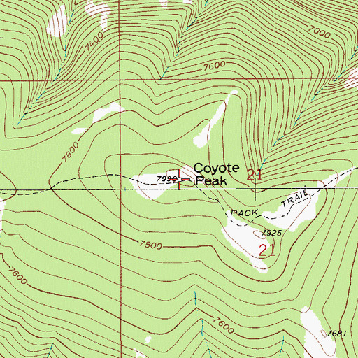 Topographic Map of Coyote Peak, MT