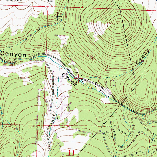 Topographic Map of Crazy Canyon, MT
