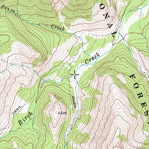 Topographic Map of Crazy Creek, MT