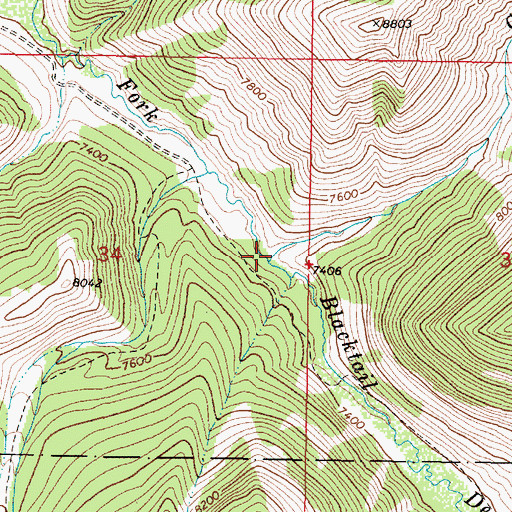 Topographic Map of Crows Nest Creek, MT