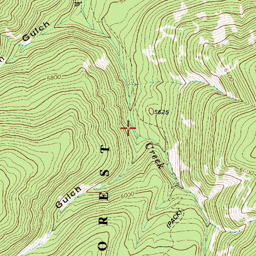 Topographic Map of Cub Gulch, MT