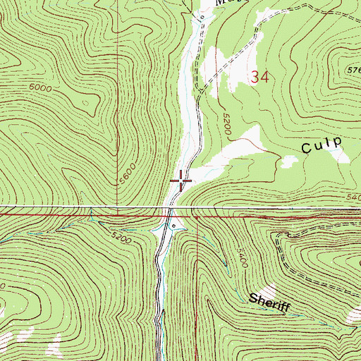 Topographic Map of Culp Gulch, MT