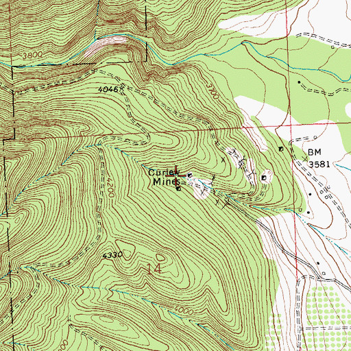Topographic Map of Curlew Mines, MT