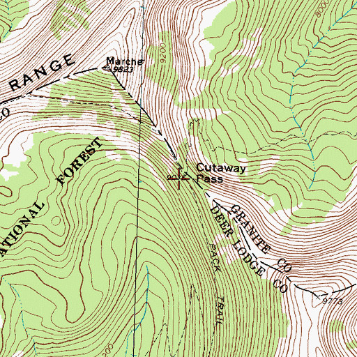 Topographic Map of Cutaway Pass, MT