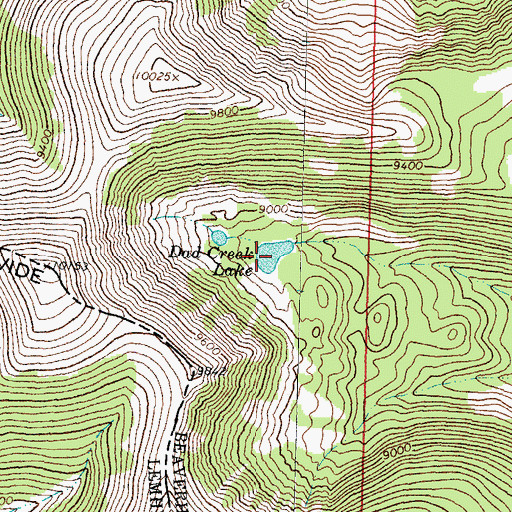 Topographic Map of Dad Creek Lake, MT