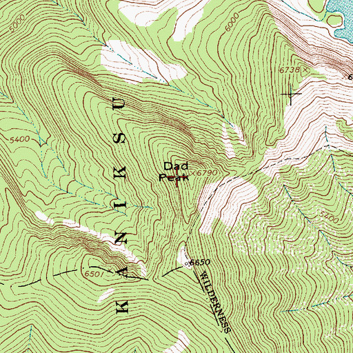 Topographic Map of Dad Peak, MT