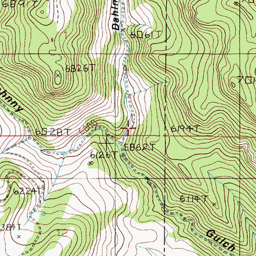 Topographic Map of Dahlman Gulch, MT