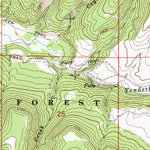 Topographic Map of Daisy Creek, MT