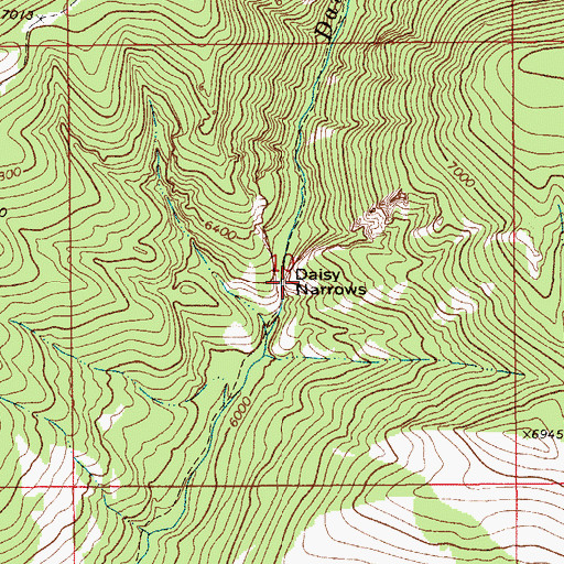 Topographic Map of Daisy Narrows, MT