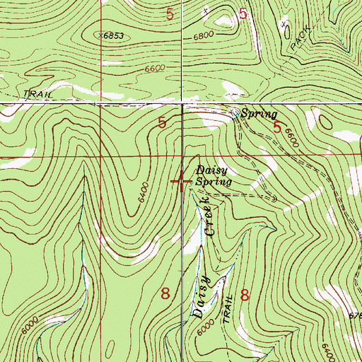 Topographic Map of Daisy Spring, MT