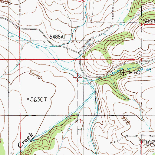 Topographic Map of Daniels Cow Camp, MT