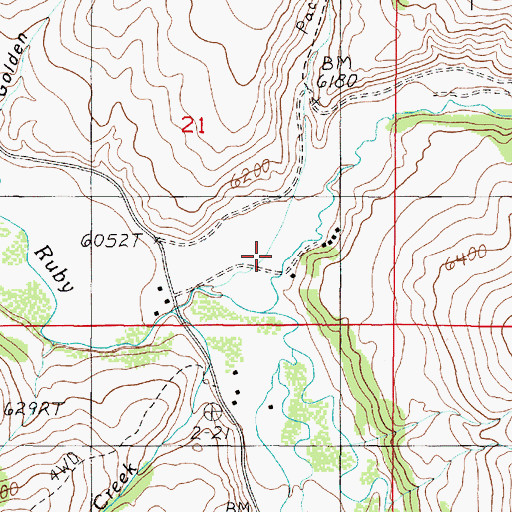 Topographic Map of Davis Creek, MT