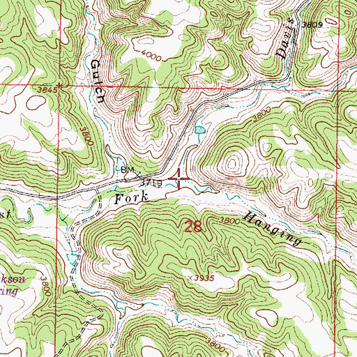 Topographic Map of Davis Prong, MT