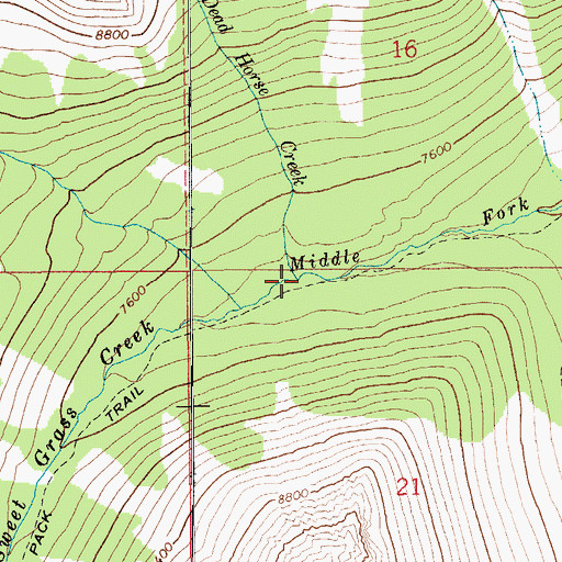 Topographic Map of Dead Horse Creek, MT