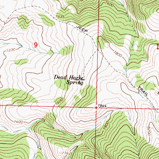 Topographic Map of Dead Horse Spring, MT