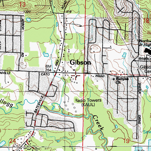 Topographic Map of Runyan First Baptist Church, AR