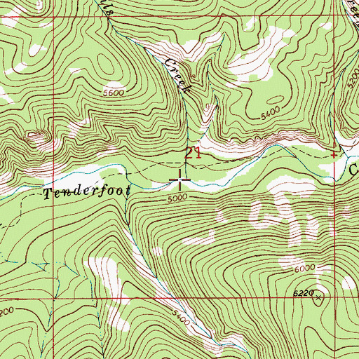 Topographic Map of Devils Creek, MT