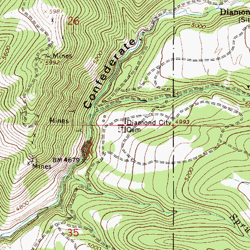 Topographic Map of Diamond City Cemetery, MT