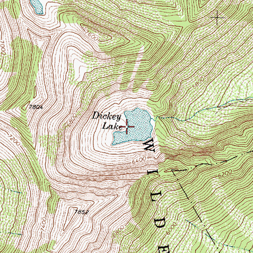 Topographic Map of Dickey Lake, MT