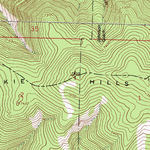 Topographic Map of Dickie Hills, MT