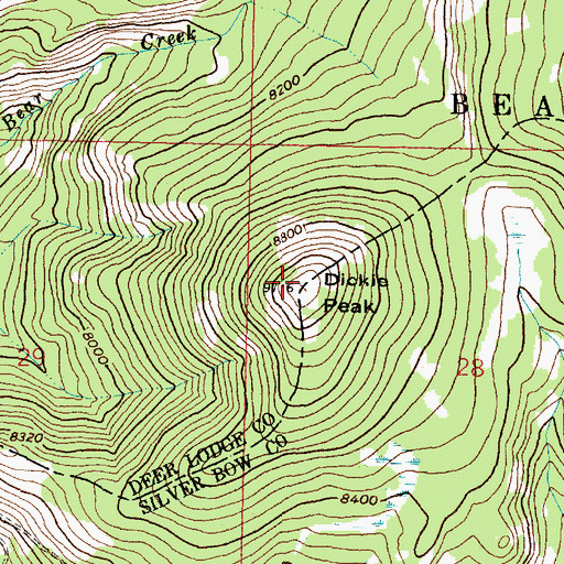Topographic Map of Dickie Peak, MT