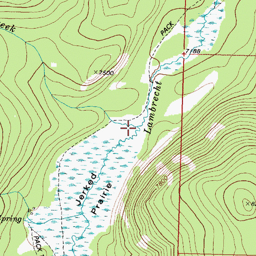 Topographic Map of Dicks Creek, MT