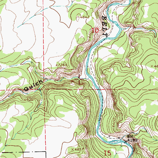 Topographic Map of Dicks Gulch, MT