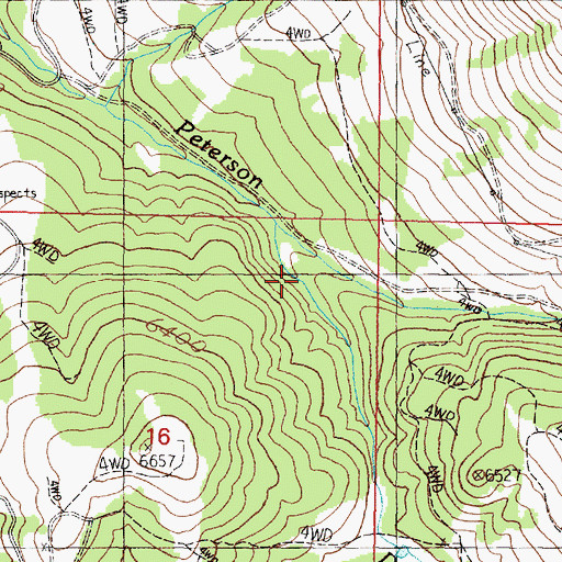 Topographic Map of Dieders Fork, MT