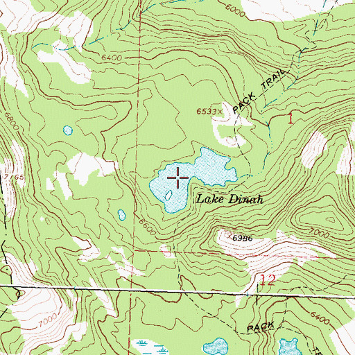 Topographic Map of Lake Dinah, MT