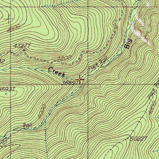 Topographic Map of Dixie Creek, MT