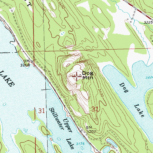 Topographic Map of Dog Mountain, MT