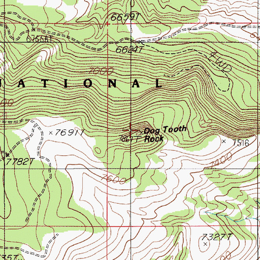 Topographic Map of Dog Tooth Rock, MT