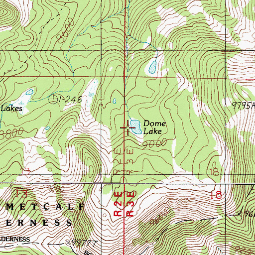 Topographic Map of Dome Lake, MT