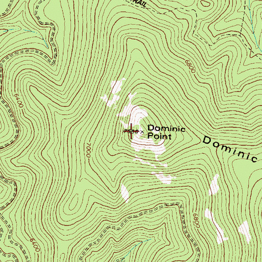 Topographic Map of Dominic Point, MT