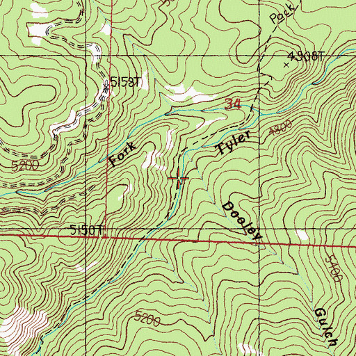 Topographic Map of Dooley Gulch, MT