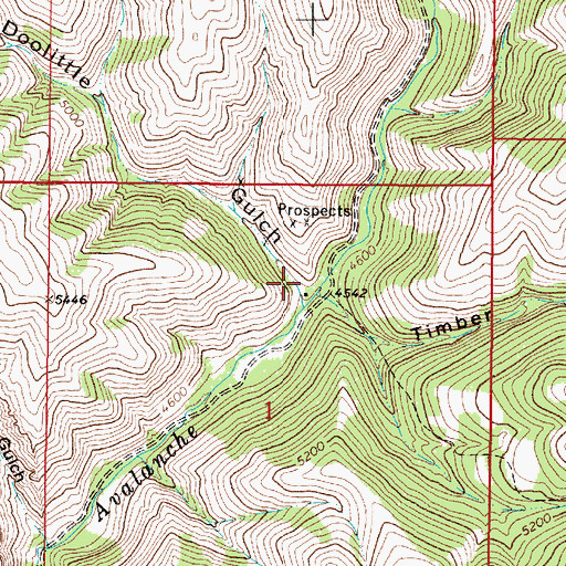 Topographic Map of Doolittle Gulch, MT