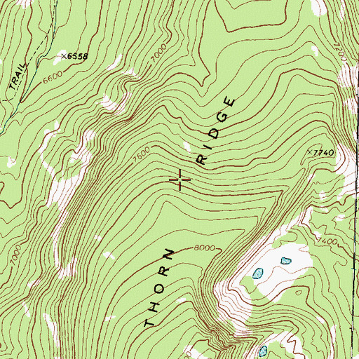 Topographic Map of Dora Thorn Ridge, MT