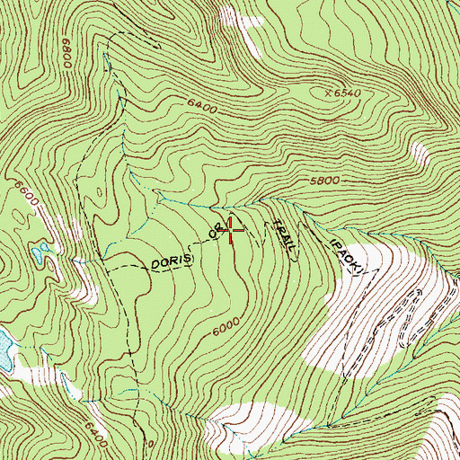 Topographic Map of Doris Creek Trail, MT